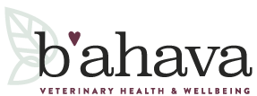 B'ahava Veterinary Health & Wellbeing