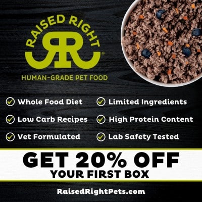 Square Graphic with "Raised Right" Human-Grade Pet Food and their logo, as well as a circular bowl of healthy dog food. Includes benefits of: Whole Food Diet, Low Carb Recipes, Vet Formulated, Limited Ingredients, High Protien Content, and Lab Safety Tested. The image says you can get 20% off your first box. RaisedRightPets.com