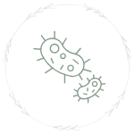 Two cells representing microbiome
